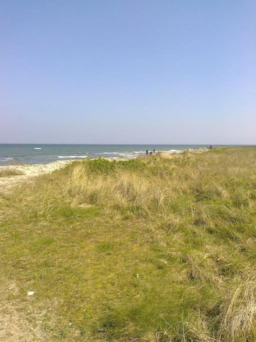 Erholung Auf Dem Land Zwischen Ostsee Und Schlei Stoltebüll Zewnętrze zdjęcie