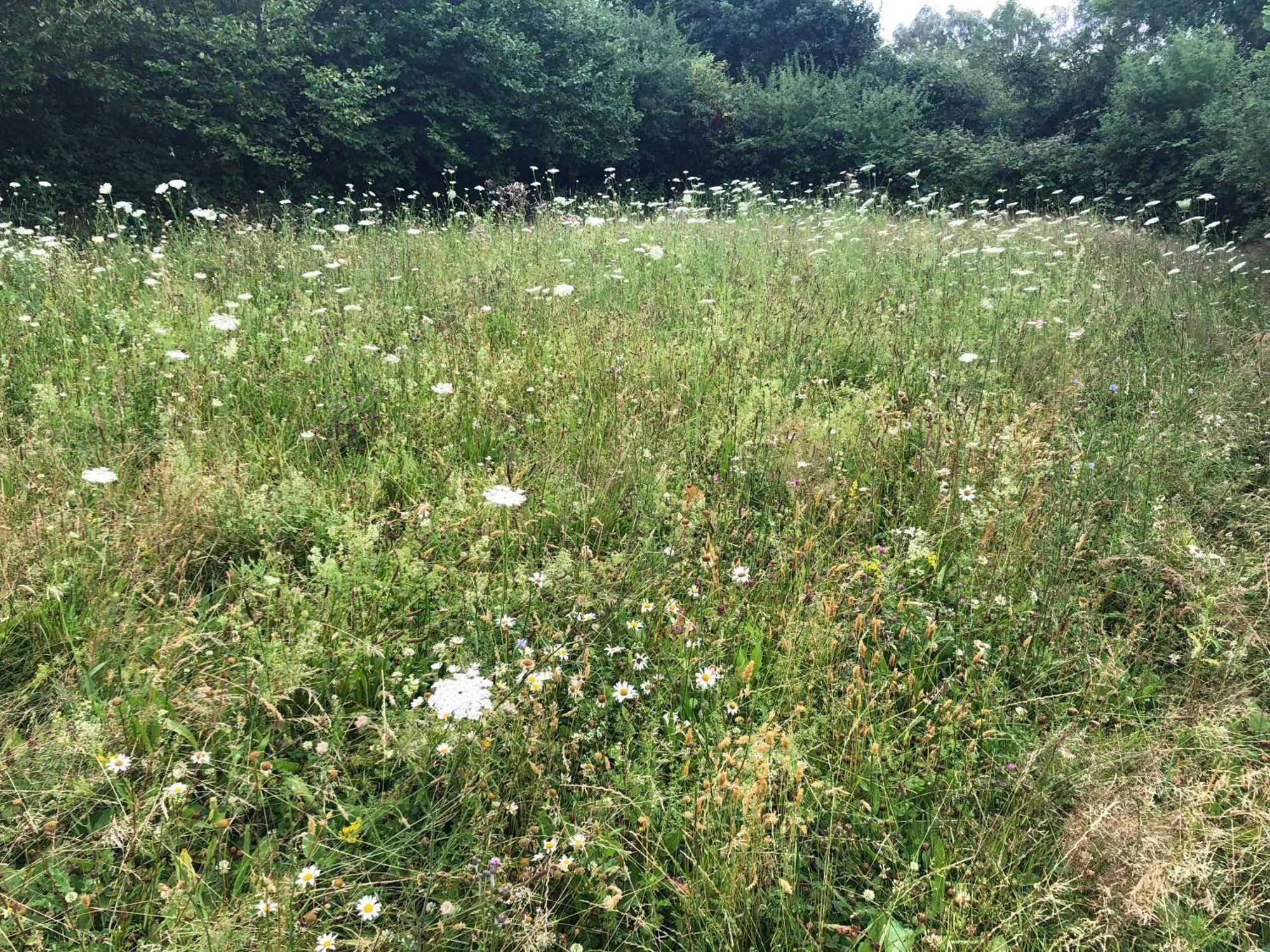 Erholung Auf Dem Land Zwischen Ostsee Und Schlei Stoltebüll Zewnętrze zdjęcie