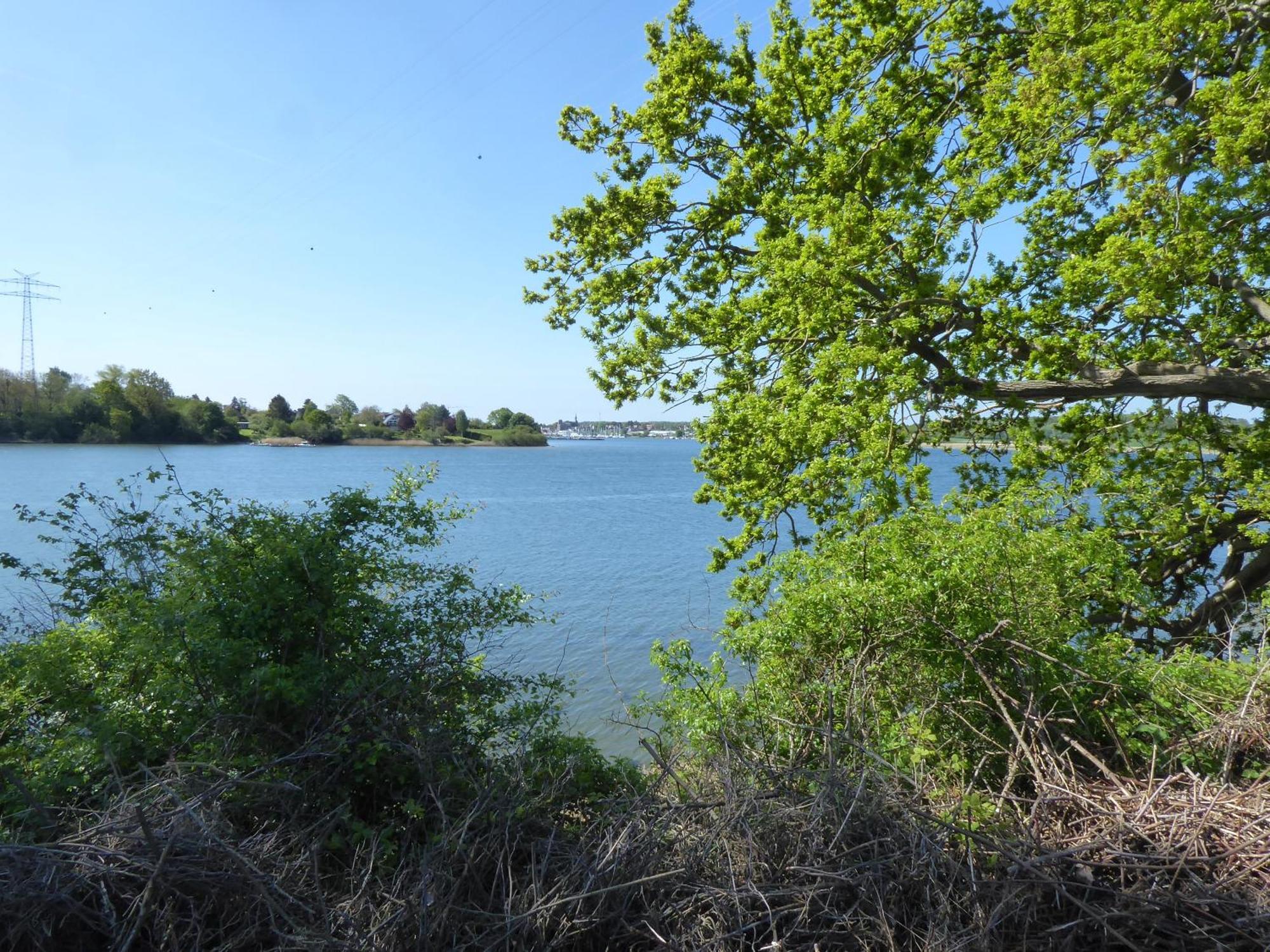 Erholung Auf Dem Land Zwischen Ostsee Und Schlei Stoltebüll Zewnętrze zdjęcie