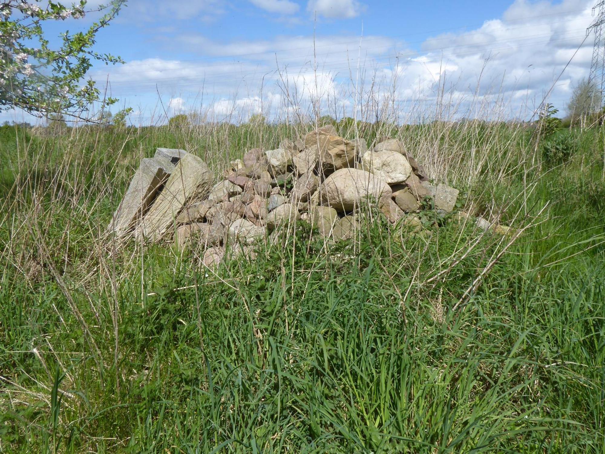Erholung Auf Dem Land Zwischen Ostsee Und Schlei Stoltebüll Zewnętrze zdjęcie